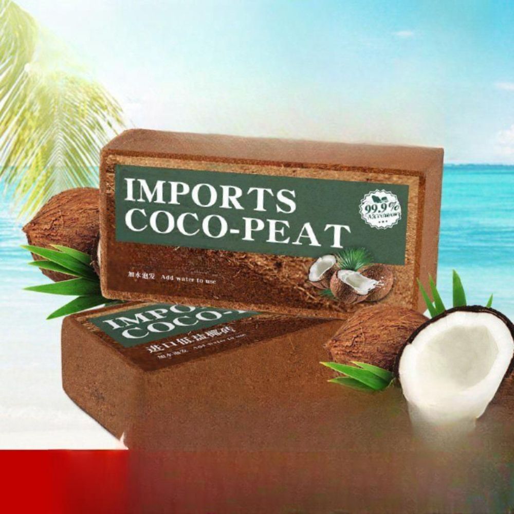 야자벽돌 압축 배합토 야자토 분갈이흙 화분흙 다육이 넛벽돌 배양토 상토 마사토 원예용 난석 - 상세 이미지 3