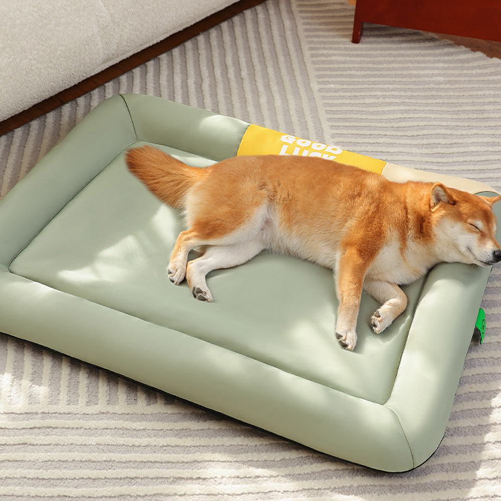 개과천선 바운시 강아지 방석 애견 방석 고양이 침대 대형 쿠션 반려견 반려묘