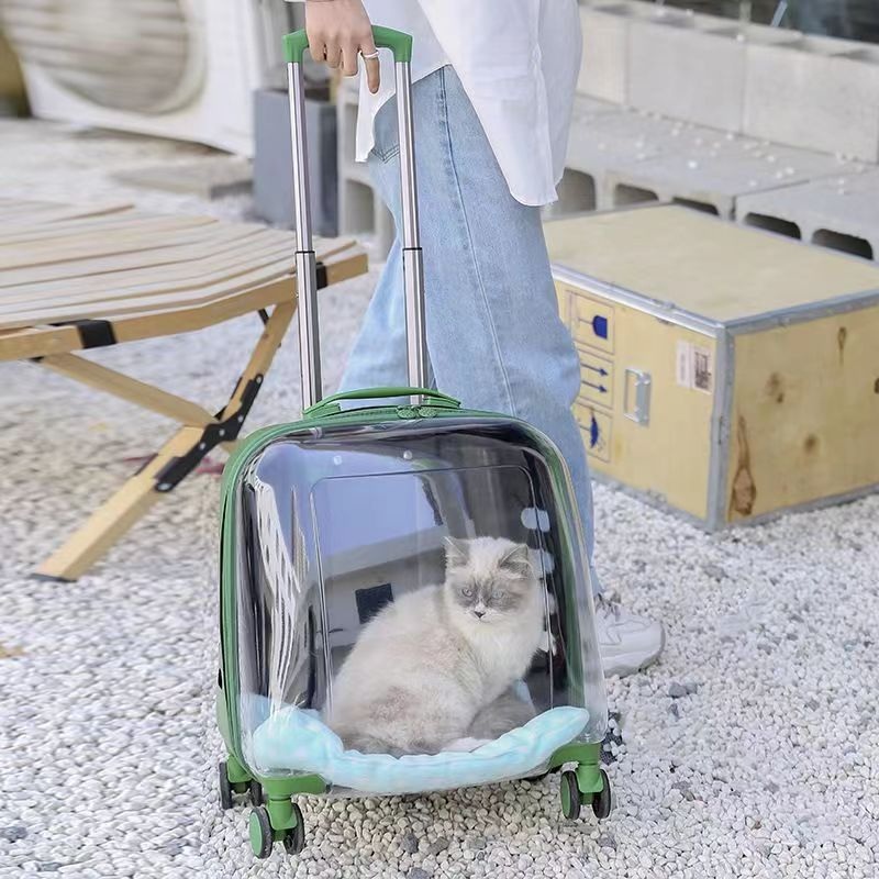 고양이 투명 이동장 캐리어 이동가방 바퀴 케이지 - 상세 이미지 5