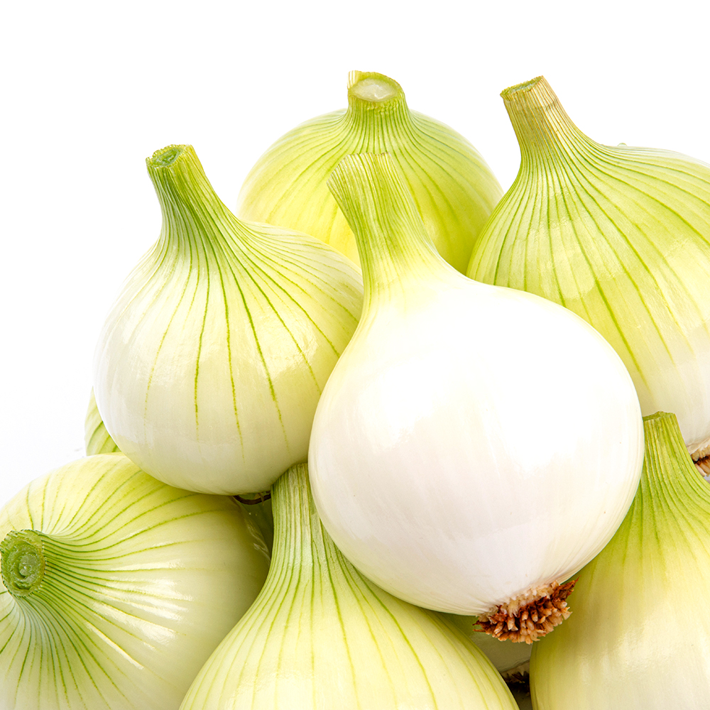 무안 황토 양파 소/중대 혼합 사이즈 3kg/5kg 골라담기 : 포레스트그룹코리아