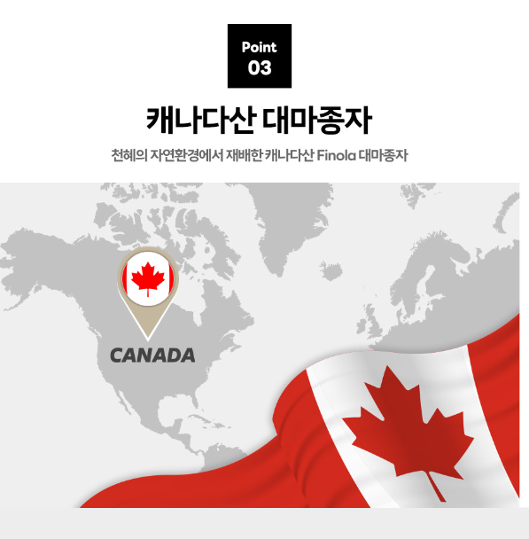 햄프씨드 엑스트라버진 압착 황금 오일 캐나다 nfp 피놀라 대마종자유 대마종자 오일 4박스 - 상세 이미지 5