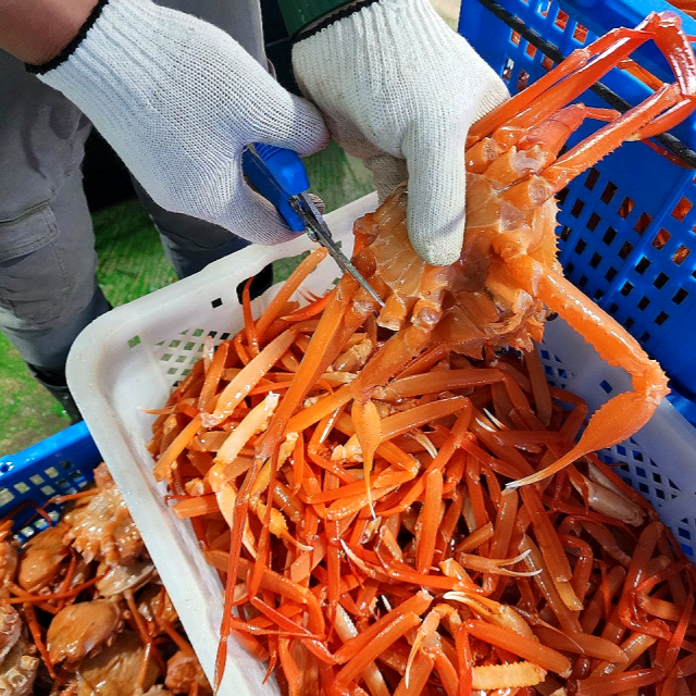 내장은 싫다! 산더미 홍게 다리만 콤보 1kg - 상세 이미지 4