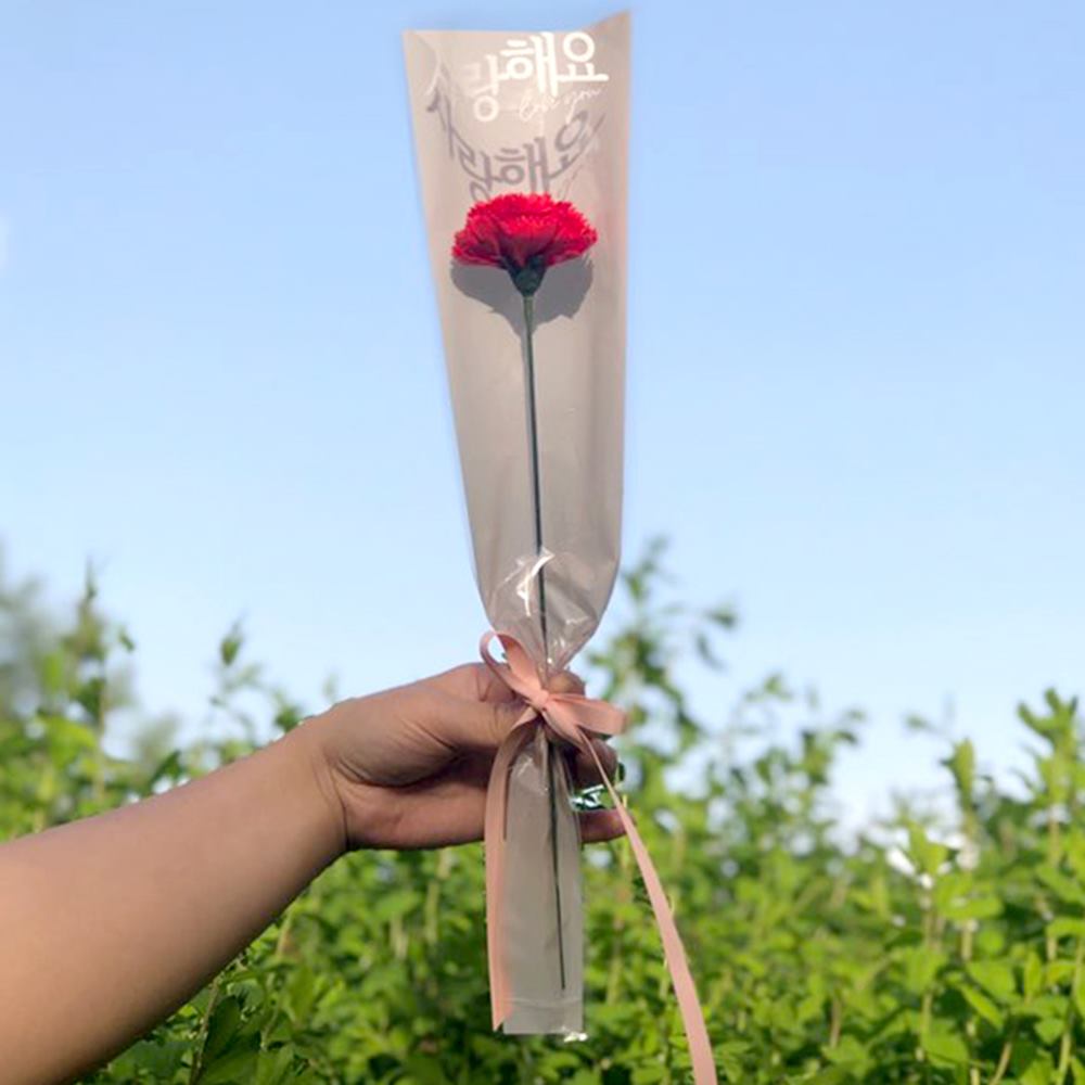 카네이션 레터링 비누꽃 어버이날 스승의날 한송이 단체 선물 - 상품 이미지