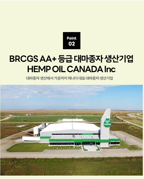 햄프씨드 엑스트라버진 압착 황금 오일 캐나다 nfp 피놀라 대마종자유 대마종자 오일 4박스 - 상세 이미지 4