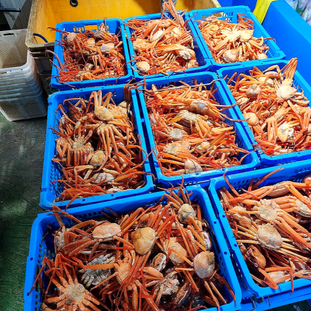 내장은 싫다! 산더미 홍게 다리만 콤보 1kg 이미지 7