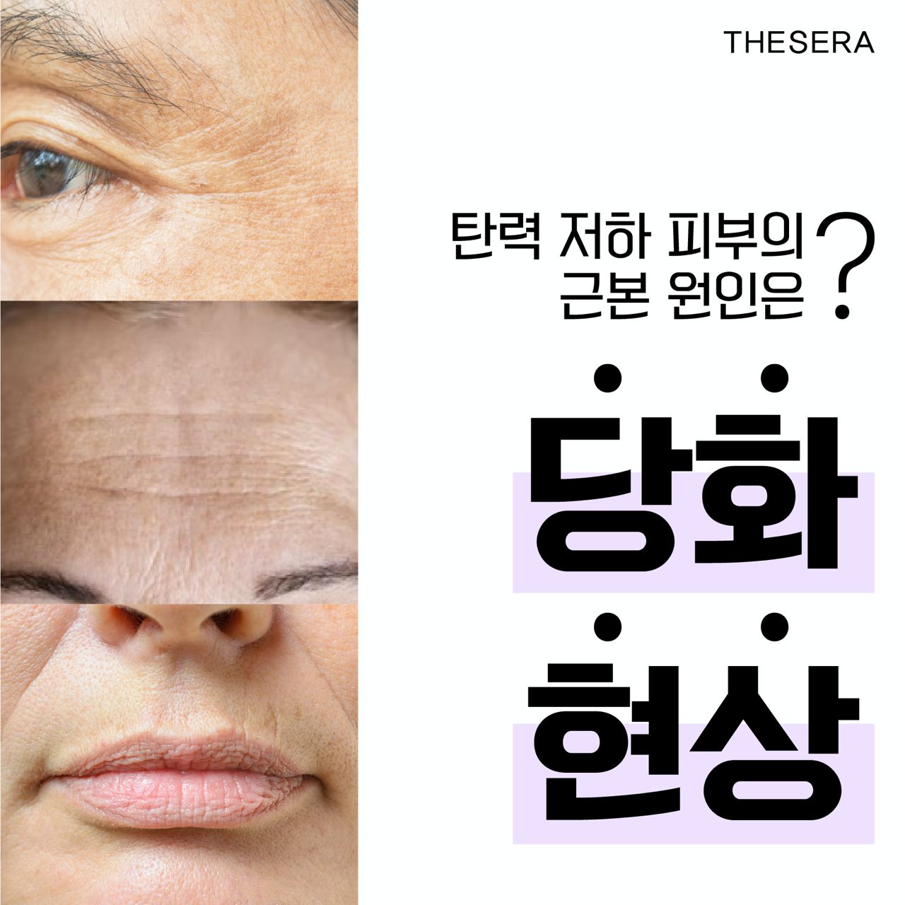 더쎄라 다이어트 솔루션 슬림핏 액티브 프로 60정 다이어트 체지방 - 상세 이미지 3
