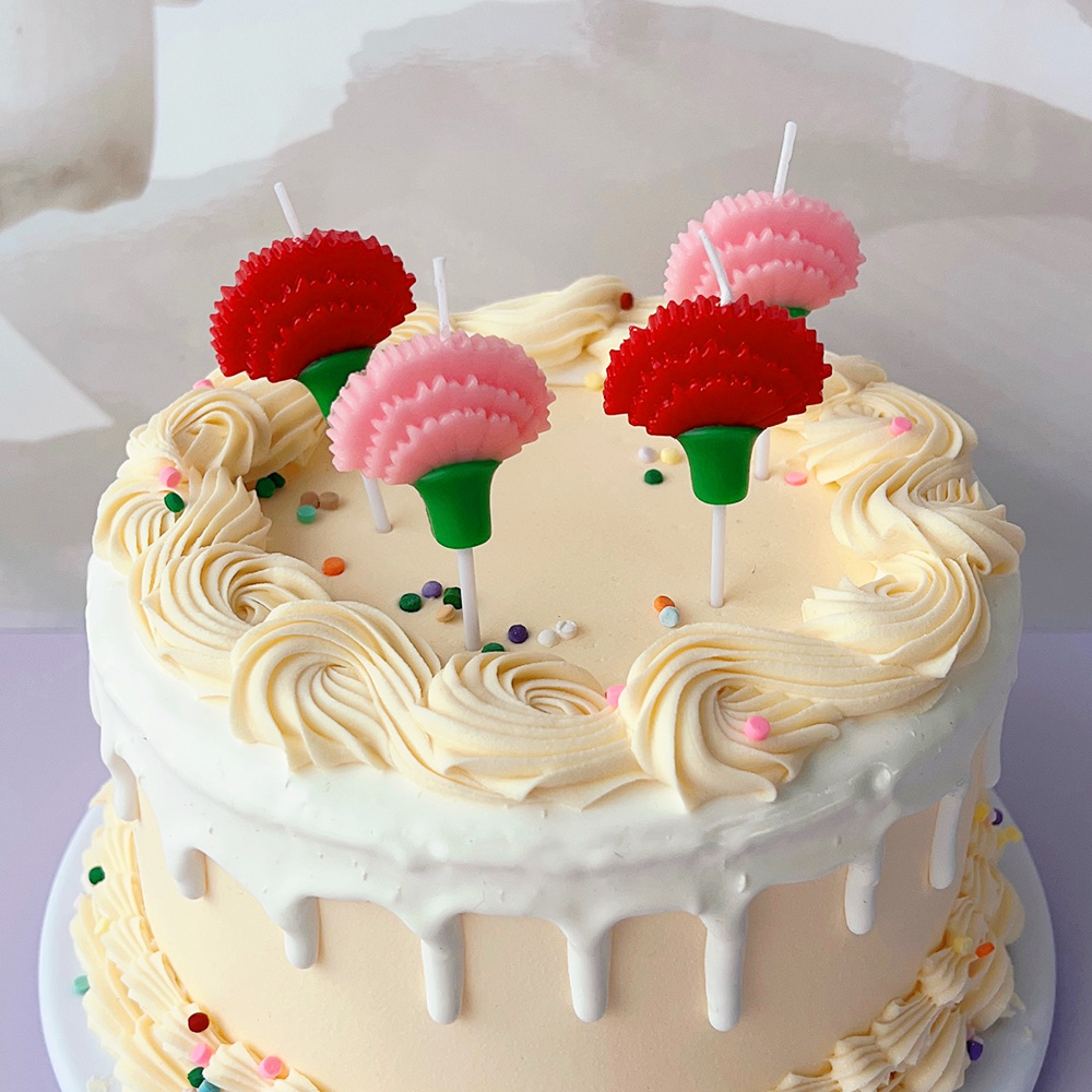 카네이션 데코레이션 캔들 4개입 초 케이크 파티 이벤트 축하 이미지 6