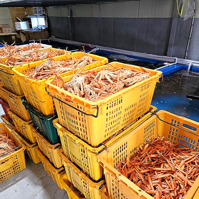내장은 싫다! 산더미 홍게 다리만 콤보 1kg - 상세 이미지 3