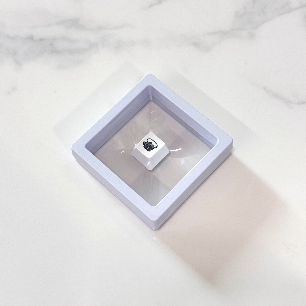 사각 랩핑 키캡보관함 랩핑박스 포인트 키캡 전시 보관 수납 선물 화이트
