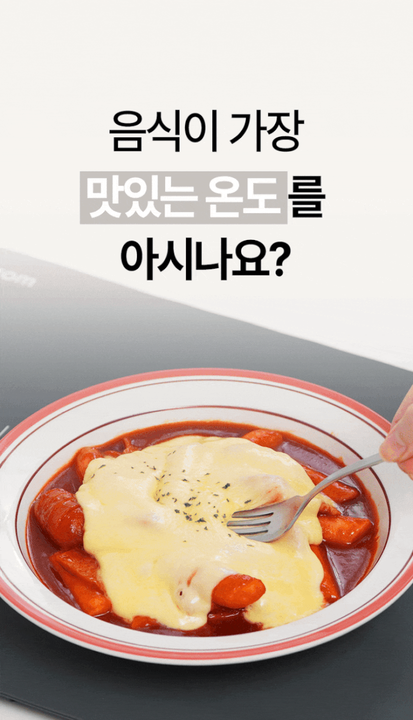 프리옴 푸드워머 파인다이닝 접이식 음식 보온 매트 판매처 상세 정보 이미지 2