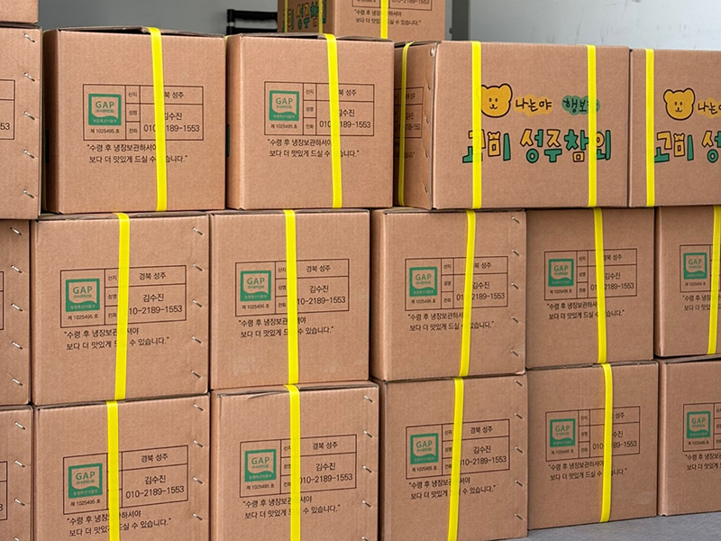 2kg 껍질째 먹는 고당도 성주 꿀 참외 못난이 가정용 선물용 꼬마 고미와성주참외 이미지 2