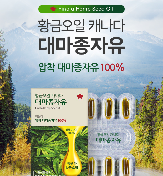 비엘 저온 압착 식물성 황금 오일 캐나다 nfp 피놀라 대마종자유 대마종자오일 3박스 이미지 2
