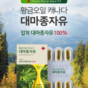 비엘 저온 압착 식물성 황금 오일 캐나다 nfp 피놀라 대마종자유 대마종... 맛있게 먹은 솔직 후기 - 상품 이미지 2
