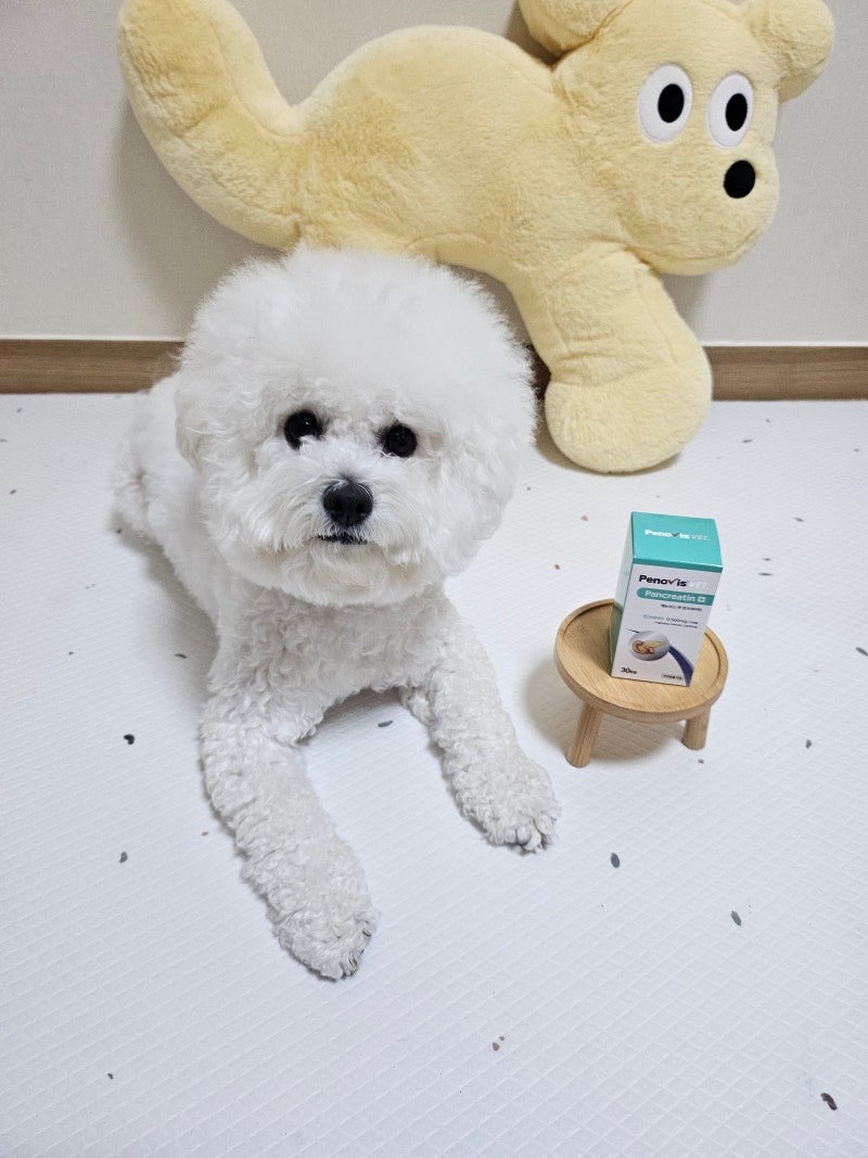 페노비스 고양이 강아지 췌장 보조제 소화 효소 소화불량 캡슐 췌장영양제 판크레아틴