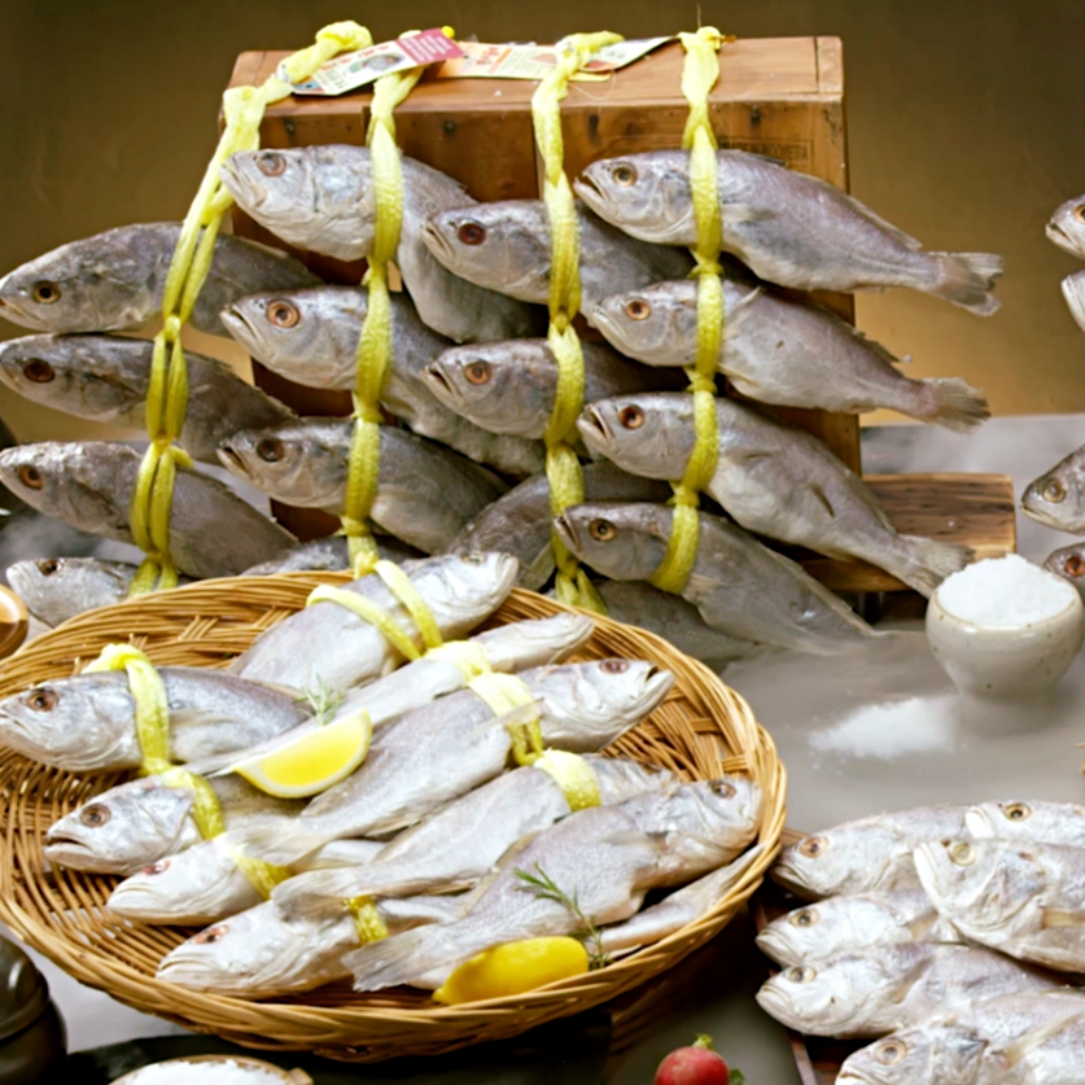 싱싱두툼 서상인 장인 민어굴비 8미 영광 법성포 22-27cm 굴비 선물세트