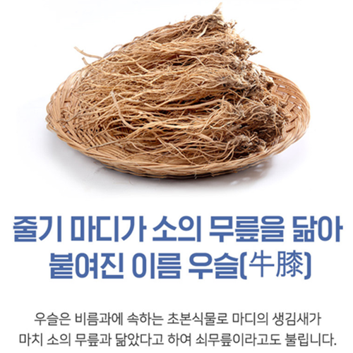 참굿즈 우슬 뿌리 복합물 정 120정 2박스 8개월 쇠무릎 초록입홍합 보스웰리아 효능 - 상세 이미지 4