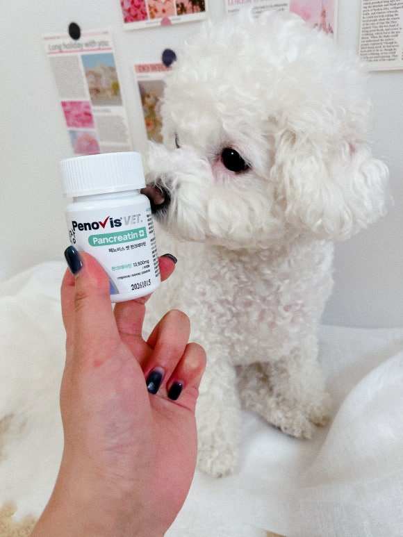 페노비스 고양이 강아지 췌장 보조제 소화 효소 소화불량 캡슐 췌장영양제 판크레아틴
