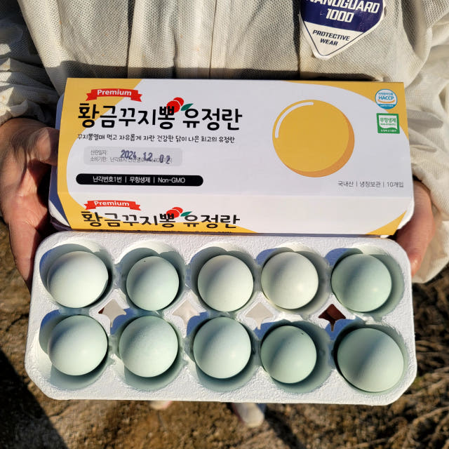 난각번호 1번 프리미엄 청계란 꾸지뽕 먹고자란 자유방사 청계 유정란