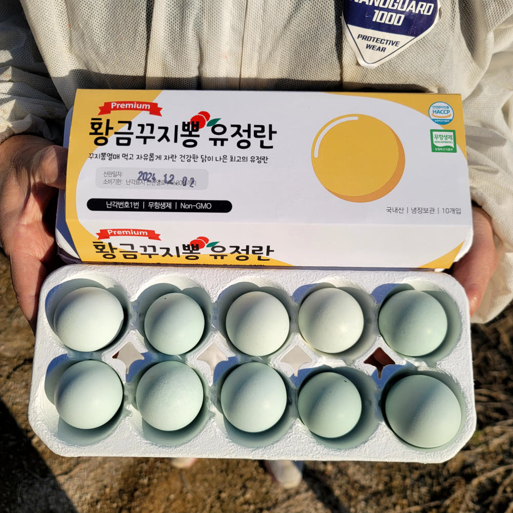 난각번호 1번 청계란 꾸지뽕 먹고자란 자유방사 청계 유정란 프리미엄 청란 20구 : 황금꾸지뽕유정란