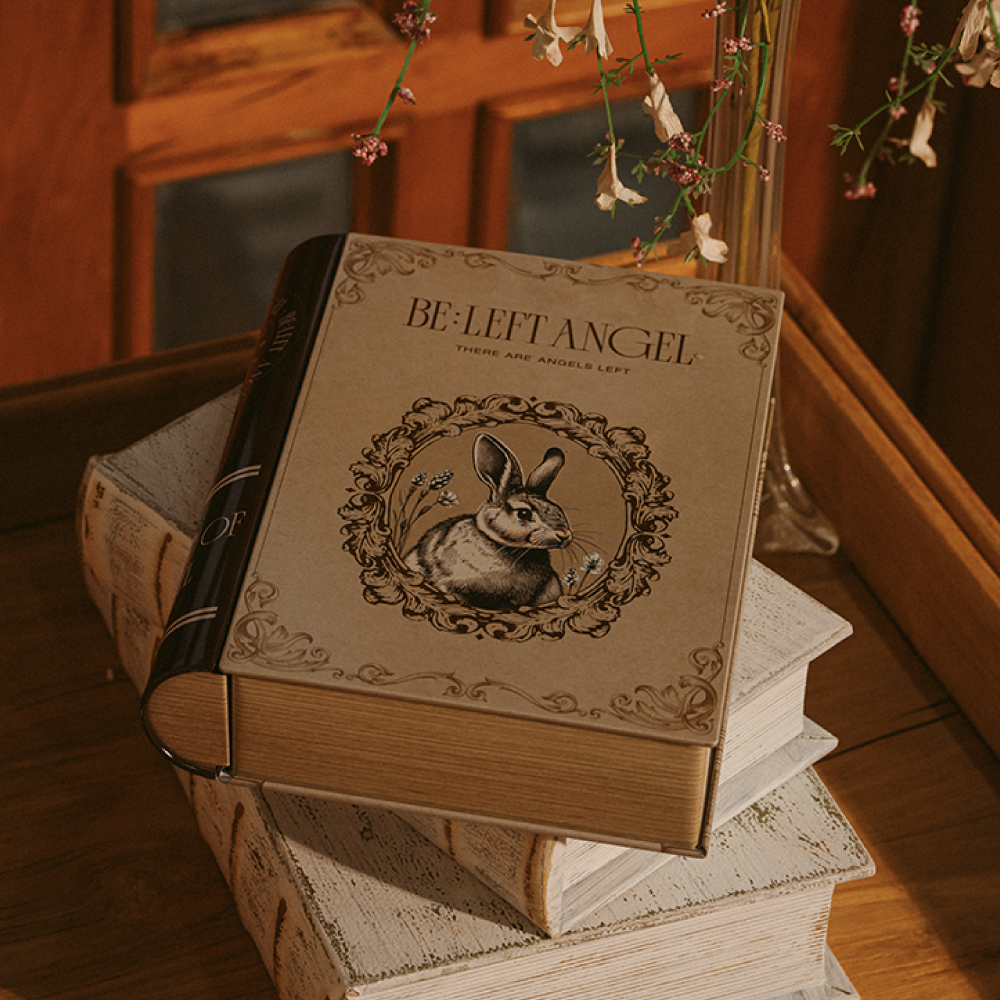 탯줄보관함 배냇함 배냇저고리함 출산선물 신생아 아기 배꼽 배냇머리 보관함