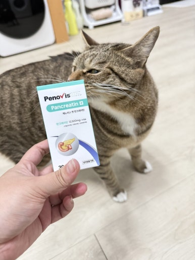 페노비스 고양이 강아지 췌장 보조제 소화 효소 소화불량 캡슐 췌장영양제 판크레아틴