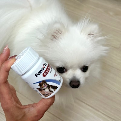 페노비스 강아지 관절영양제 슬개골 연골 관절염 고양이 칼슘 노견영양제 캡슐 벳 글루코사민