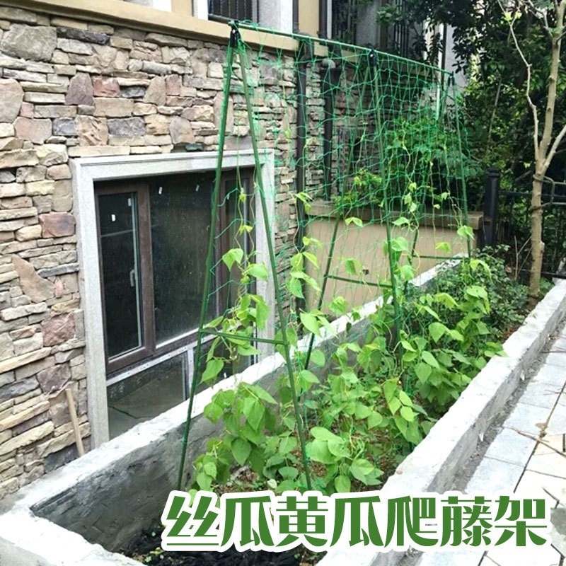 덩굴식물 지지대 텃밭 프레임 호박 연결 자재 조인트 제트 16mm2.1mx2.1m+가로5개+세로10개 - 상세 이미지 3