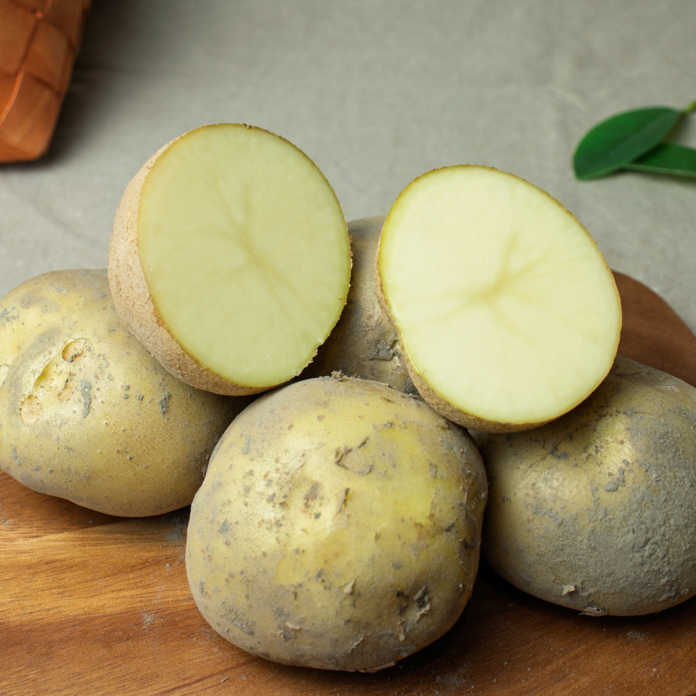 햇 감자 수미 감자 5kg 3kg 강원도 국내산