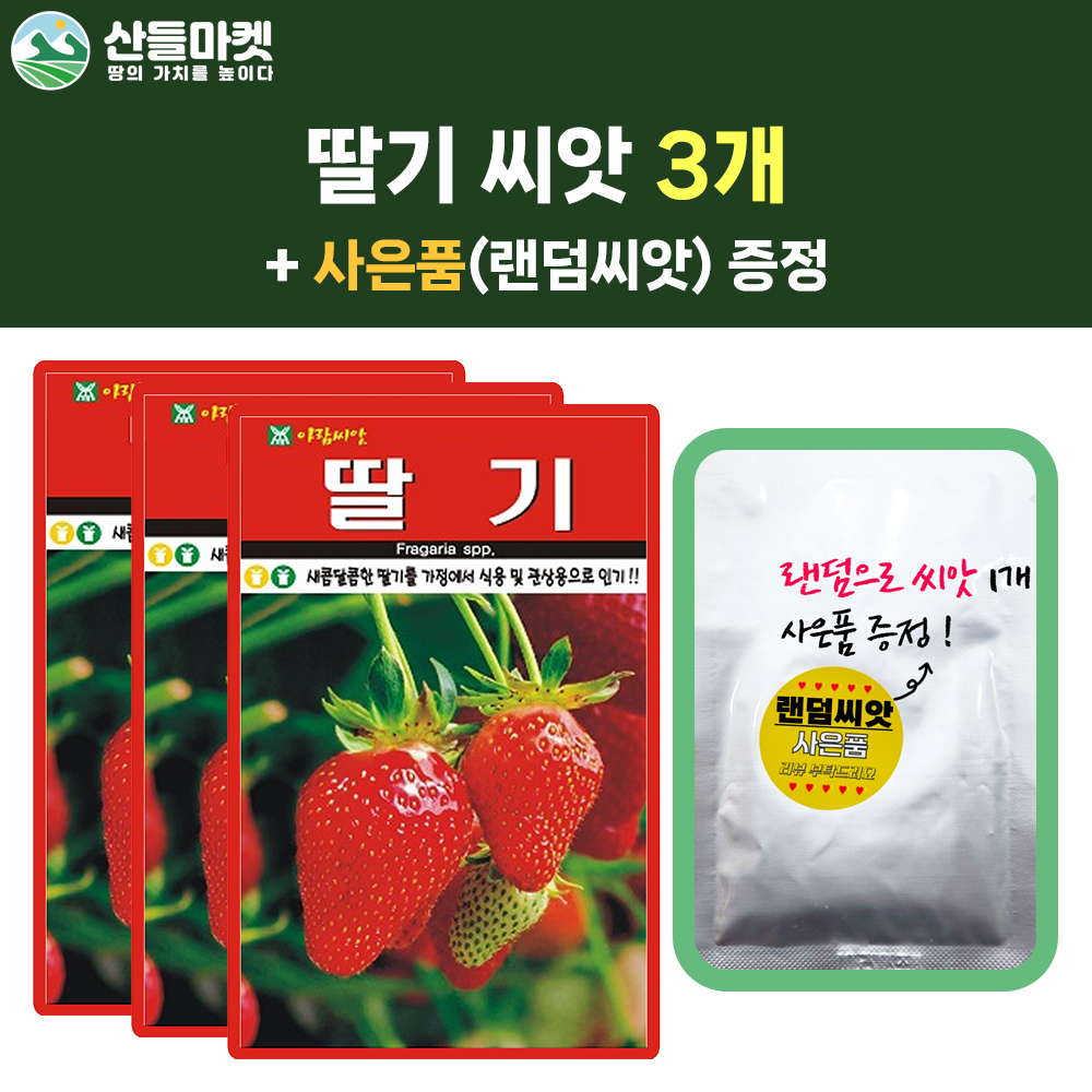 산들마켓 딸기 씨앗 100립 딸기씨 열매 채소 3개+랜덤 씨앗 1개 증정 : 산들마켓샵