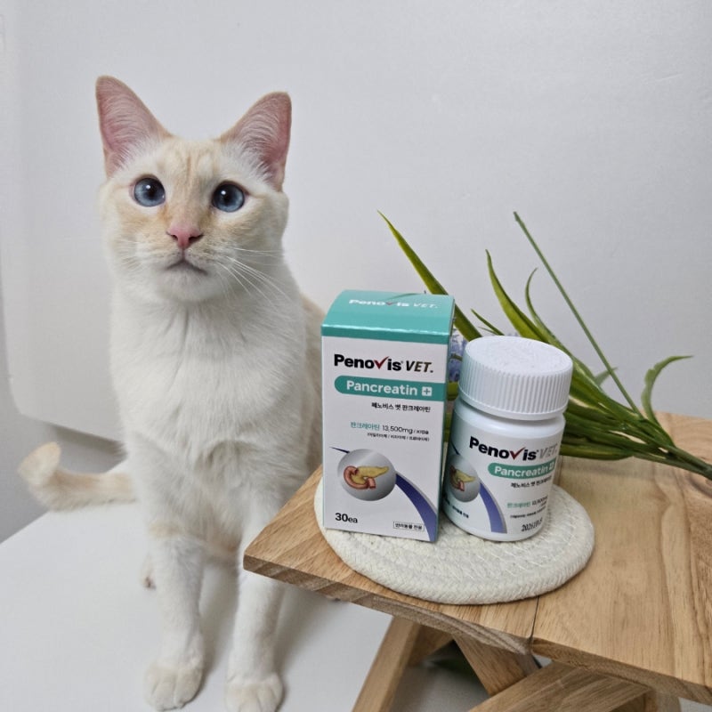 페노비스 고양이 강아지 췌장 보조제 소화 효소 소화불량 캡슐 췌장영양제 판크레아틴