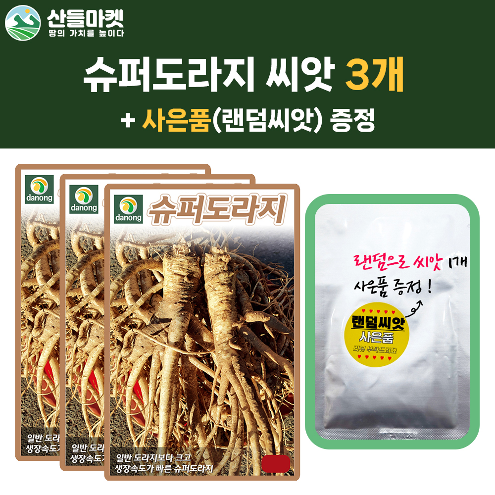 산들마켓 슈퍼도라지 씨앗 5g 다수확 도라지씨 약초 종자 3개+랜덤씨앗1개 증정 : 산들마켓샵