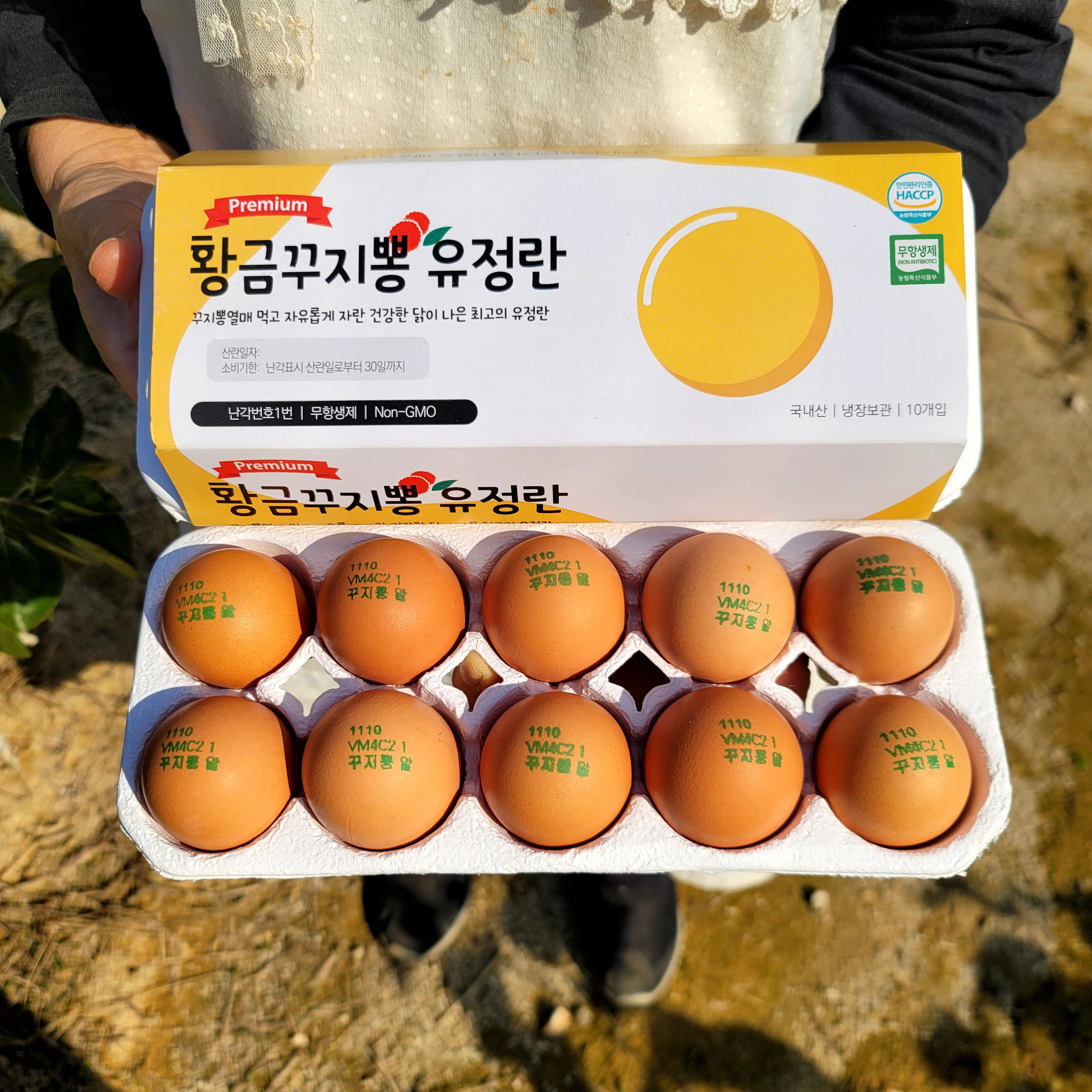 난각번호1번 프리미엄 유정란 꾸지뽕 먹고 자란 자유 방사 유정란 자연방목 계란 대란 20구 이미지 1