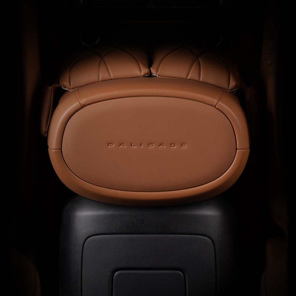 크레이지몬스터 디올뉴 팰리세이드 LX3 ET커버 제품 이미지