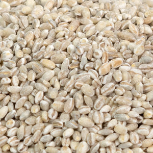 25년 햇보리 유기농 늘보리 1kg 식이섬유 풍부한 늘보리쌀 보리밥 맛있게 먹은 솔직 후기 - 상품 이미지 4