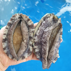 최상급 전복 완도 산지직송 참전복 활전복 맛있게 먹은 솔직 후기 - 상품 이미지 1
