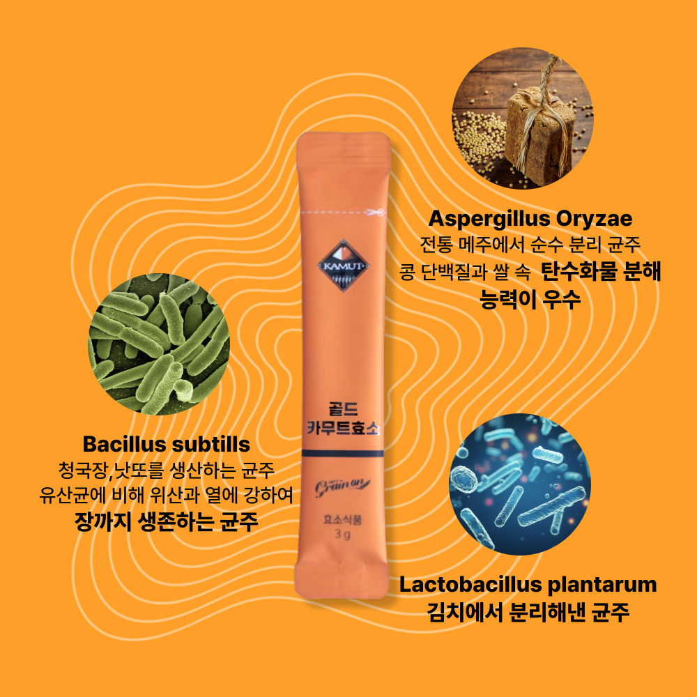 골드 카무트효소 그레인온 카뮤트 곡물 3g 30포 x 3박스 부모님선물 이미지 7