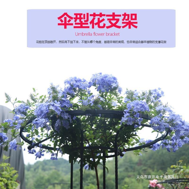 화분 지지대 오벨리스크 지줏대 나팔꽃 수직 재배 온실 제트 블랙 90cm 중간 - 상세 이미지 2