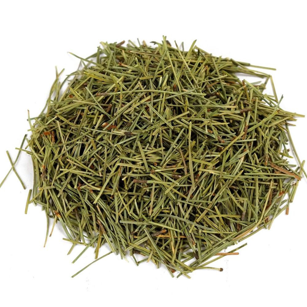 국산 솔잎 한방재료 청정지역 솔잎 600g 600g 건강한 국산 : 조씨아저씨네