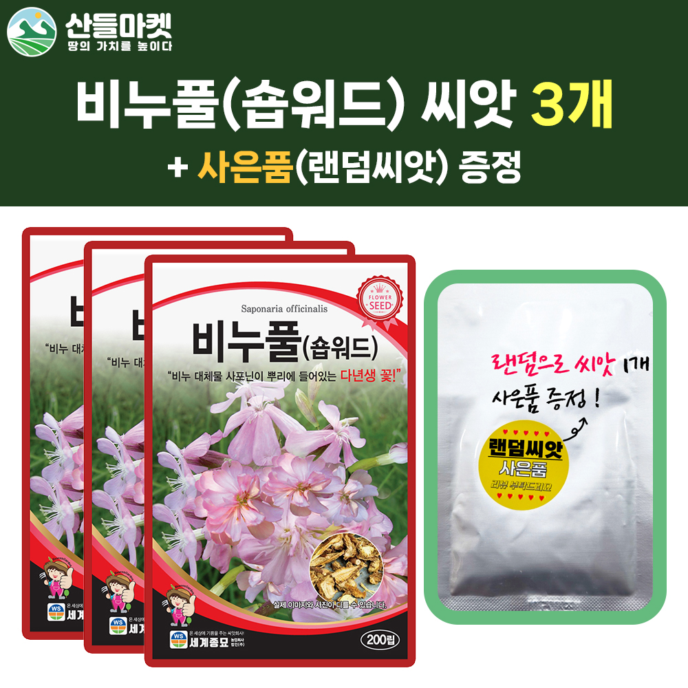 산들마켓 비누풀 씨앗 200립 비누풀 숍워드 다년생 꽃씨 3개+랜덤 씨앗 1개 증정 : 산들마켓샵