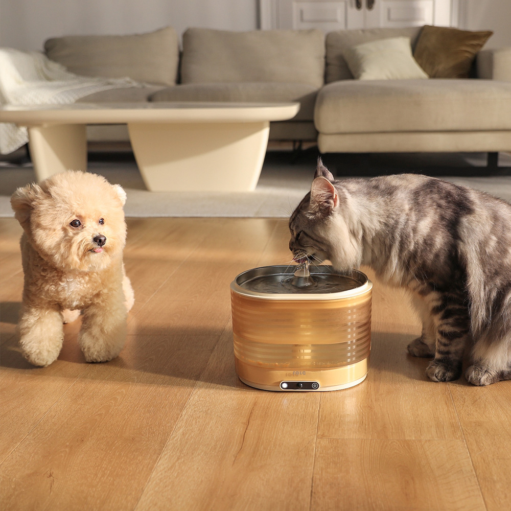 롤라 스마트 펫 무선 자동 정수기 (고양이 강아지 자동급수기 높이 16cm)by왓더펫