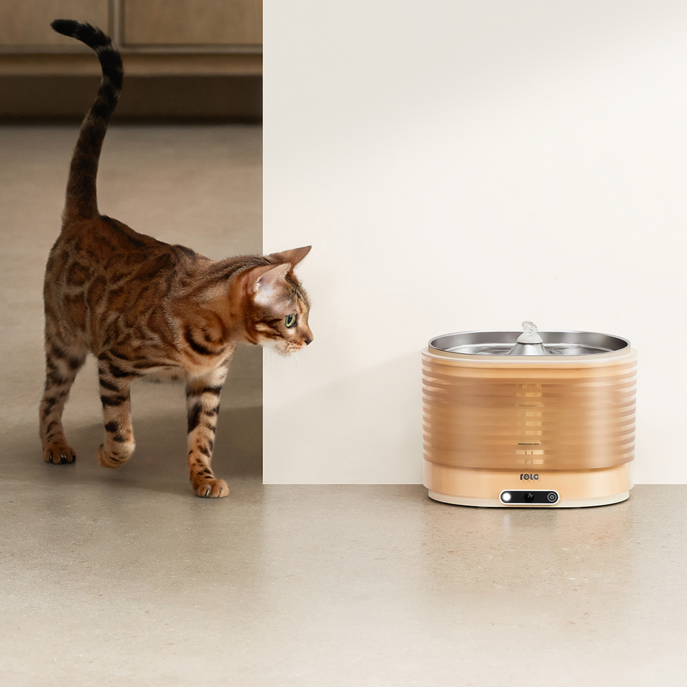 롤라 스마트 펫 무선 자동 정수기 (고양이 강아지 자동급수기 높이 16cm)by왓더펫