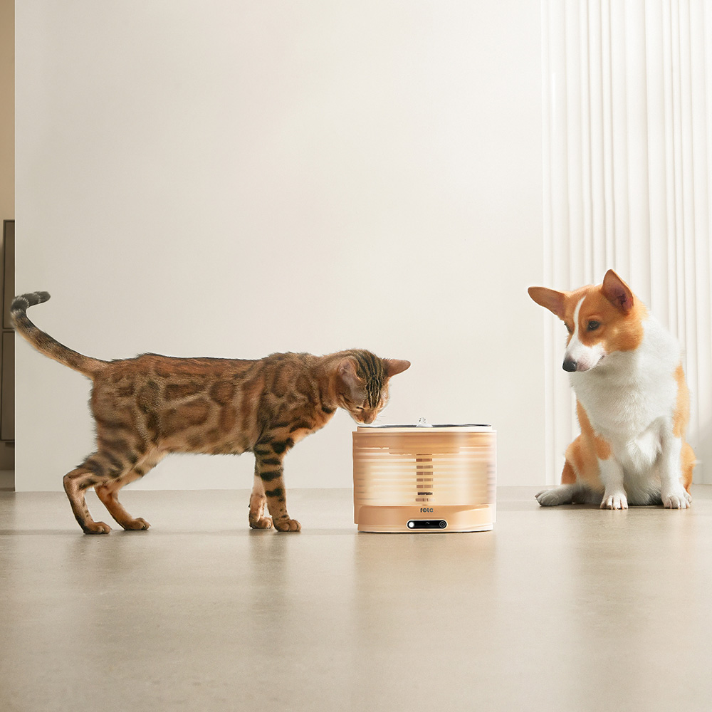 롤라 스마트 펫 무선 자동 정수기 (고양이 강아지 자동급수기 높이 16cm)by왓더펫