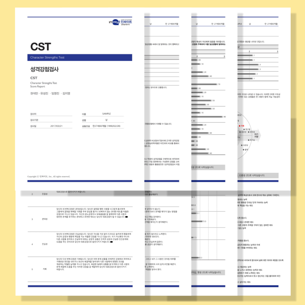 CST 강점 검사 (긍정심리학 24가지 성격 스트렝스 정식검사) 온라인 심리검사 제품 이미지