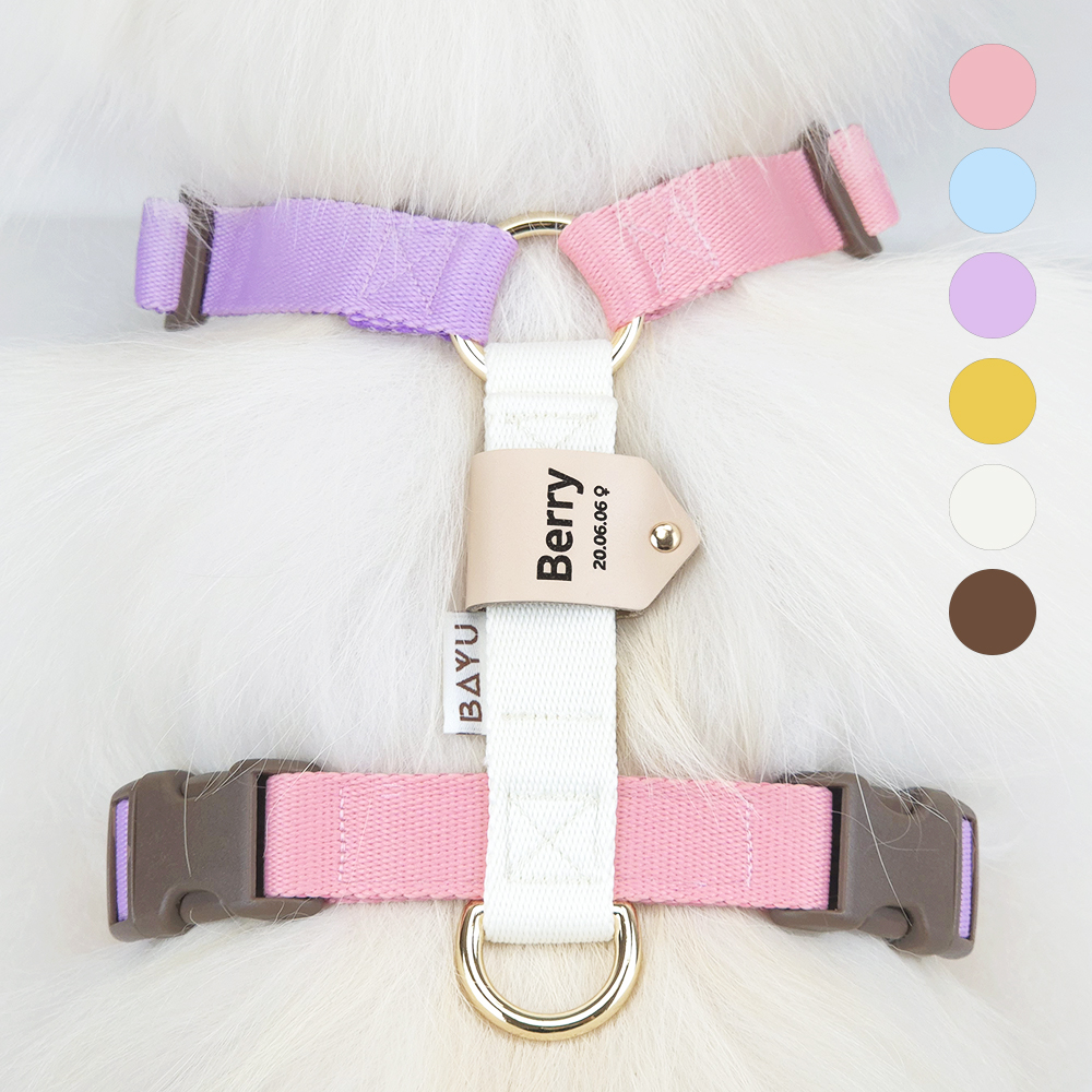 바유 강아지 하네스 H형 가슴줄 톤톤 XS