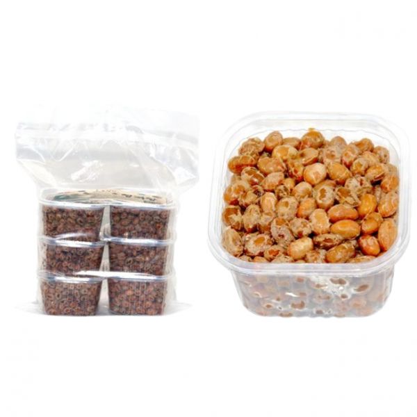 도림원 사찰 생청국장 800g : 버터포티에