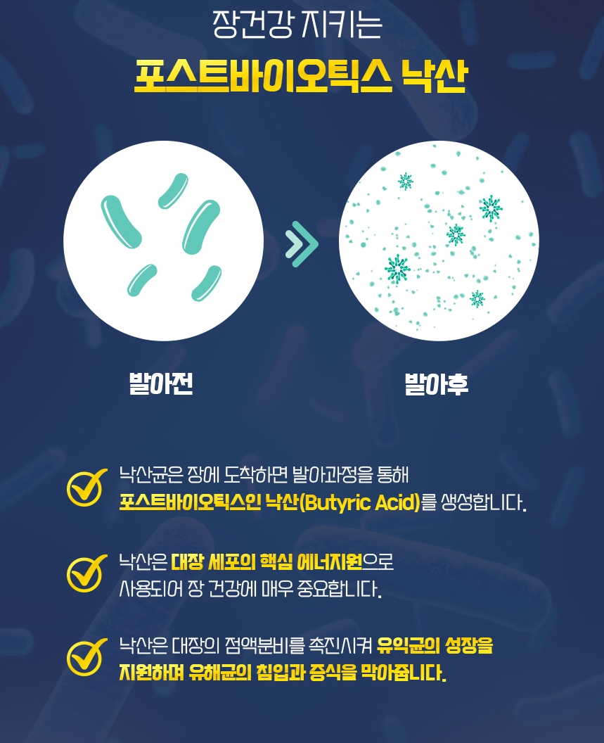 낙산균 프리미엄S 30포 1개월분 포스트바이오틱스 낙산 - 상세 이미지 2