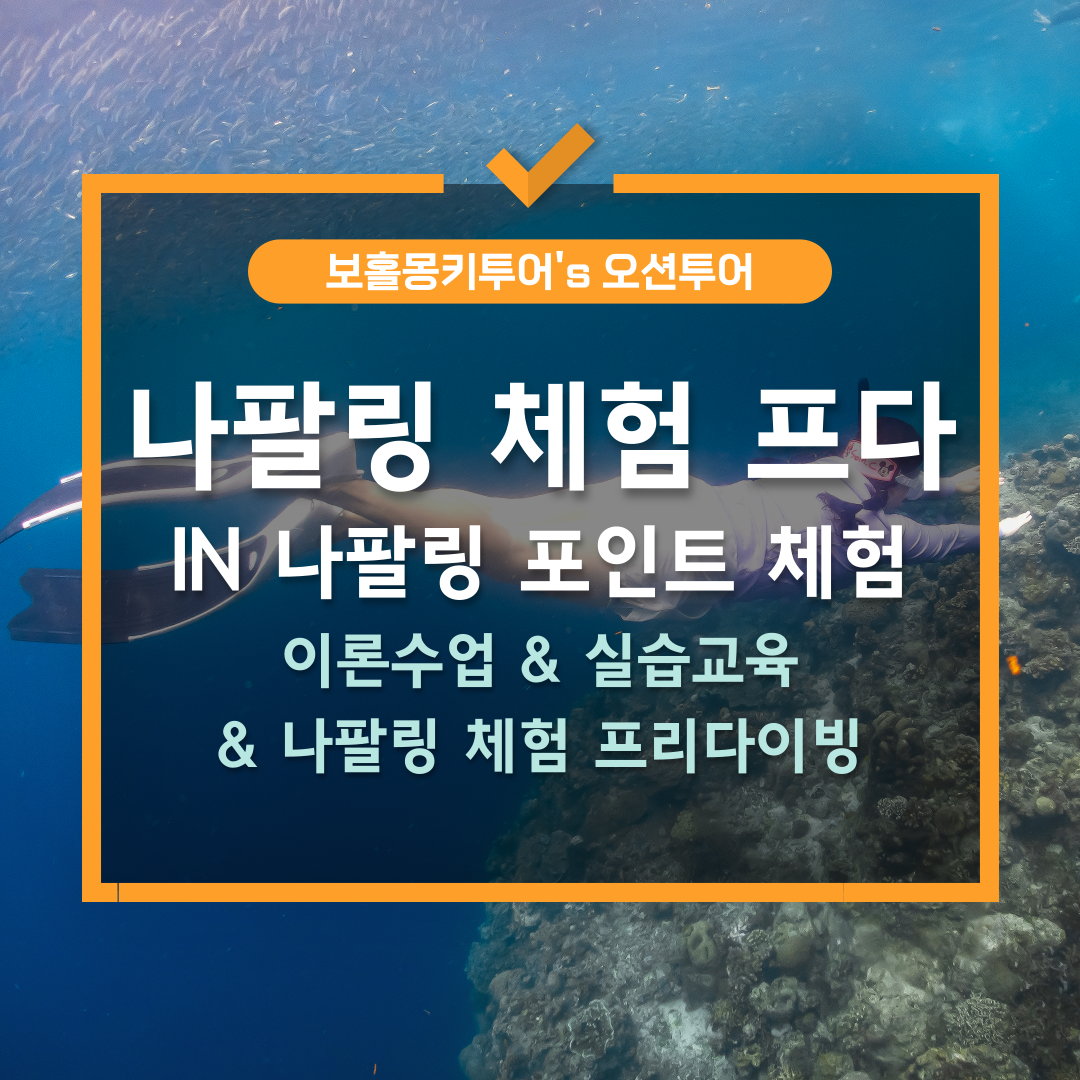 보홀 프리다이빙 나팔링 체험 교육 한국인강사동행 픽업드랍포함 - 상품 이미지