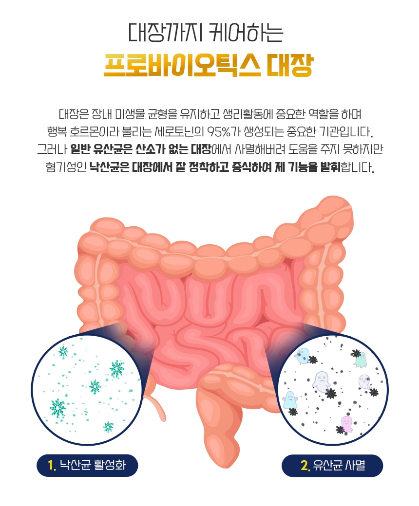 낙산균 프리미엄S 30포 1개월분 포스트바이오틱스 낙산 - 상세 이미지 3