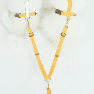 바유 강아지 더블리드줄 트윈 톤톤1.5cm 솔직 후기 | 실제 사용자 리뷰 총정리 - 상품 이미지 2