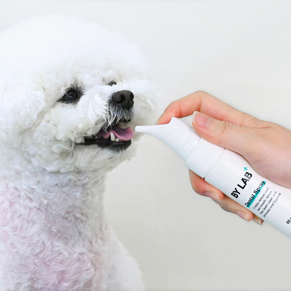 BYLAB 바이랩 덴탈 스프레이 강아지 구강 입냄새 치석 제거 60ml